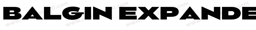 BALGIN EXPANDED字体转换